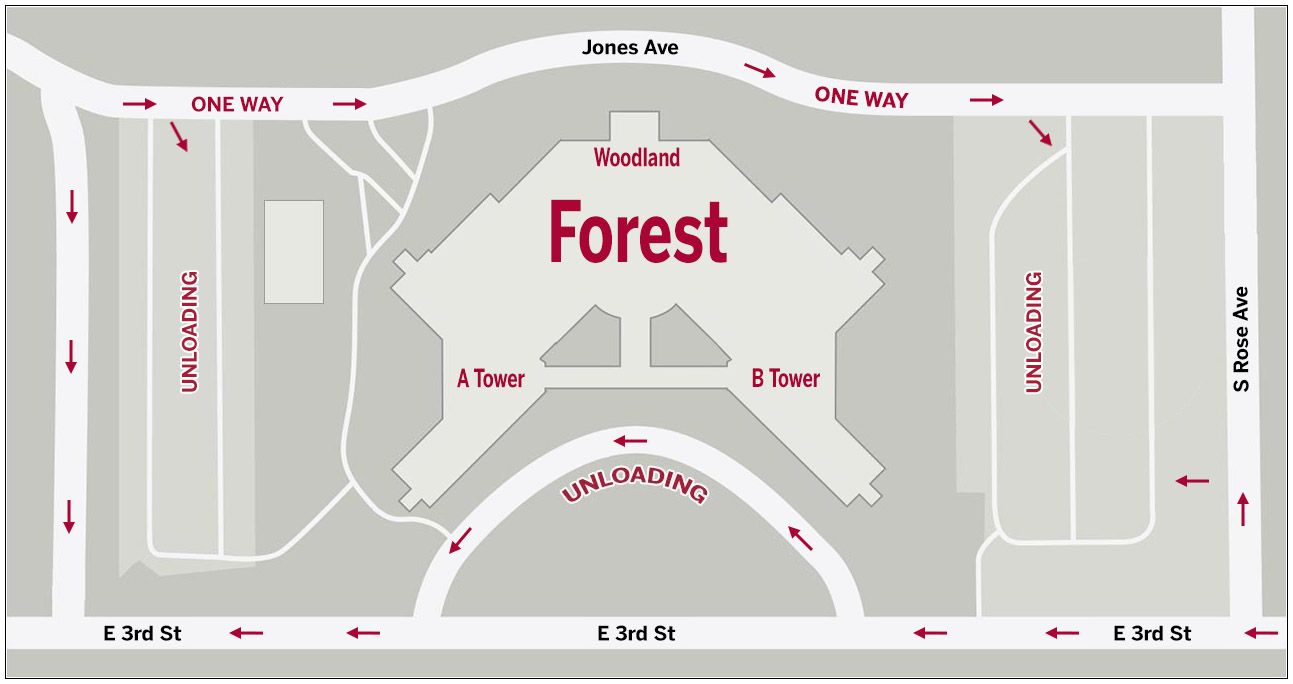 Map showing move in directions for Forest